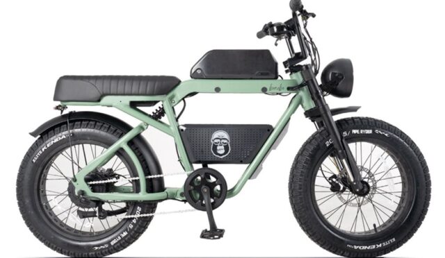 Bim Bonobo Elektrikli Bisiklet Yeşil   fiyatı – 2024