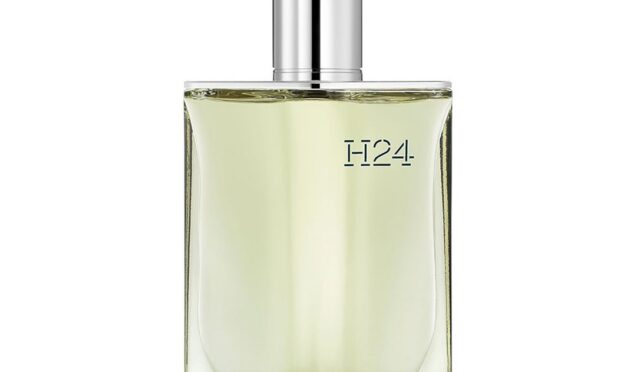 H24 Edp 100 ml Erkek Parfüm