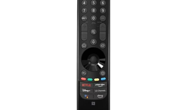 Bim Sihirli Smart TV Kumanda MR22GN   fiyatı – 2024
