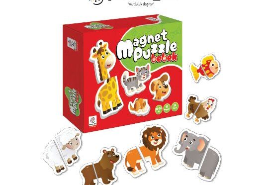 İlk Magnet Puzzle Seti  12-36 Ay