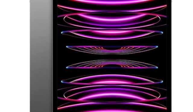 iPAD PRO 12.9 İNC (6.NESİL) 1TB Wİ-Fİ Tablet